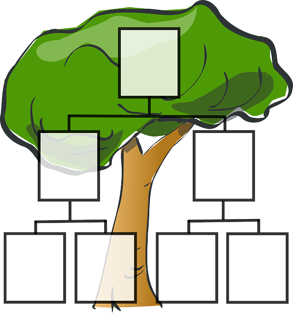 image of tree with family tree chart overlay